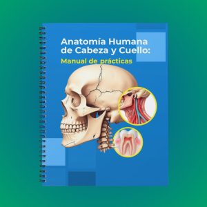 Anatomía Humana de Cabeza y Cuello: Manual de prácticas