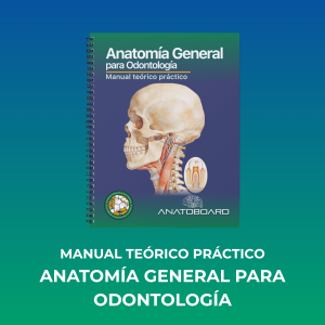 Manual Teórico Práctico - Anatomía General para Odontología