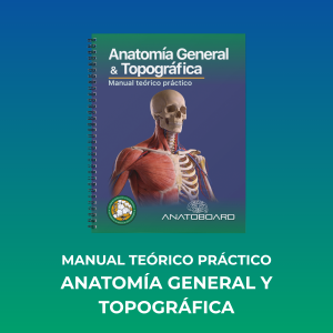 Manual Teórico Práctico - Anatomía General y Topográfica