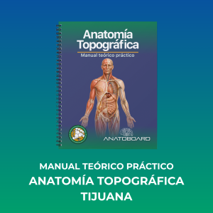 Manual Teórico Práctico – Anatomía Topográfica (Campus Tijuana)