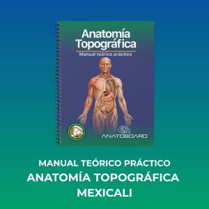 Manual Teórico Práctico – Anatomía Topográfica (Campus Mexicali)
